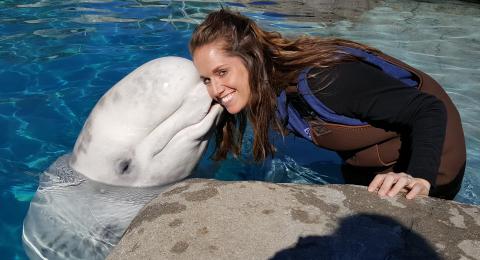 Marine Biology | Marine Careers Marine Biology | Marine Careers