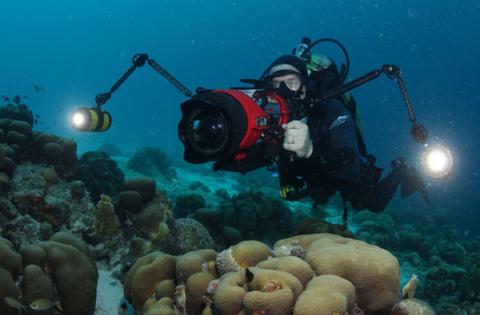 Jonathan Bird filming underwater