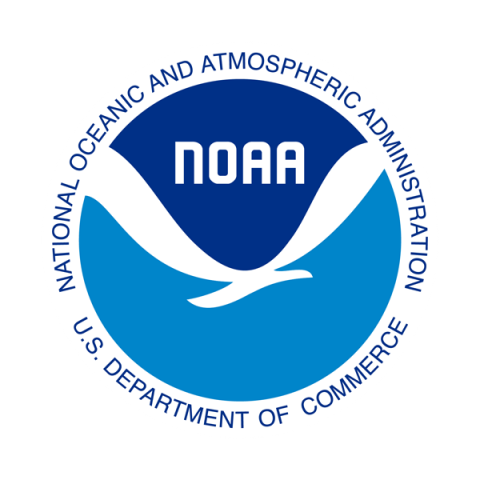 NOAA logo for decoration only
